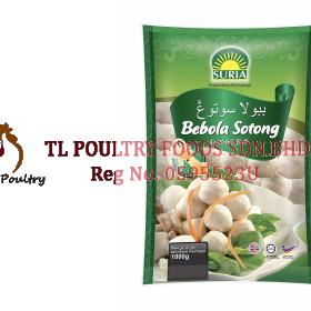  BEBOLA SOTONG SURIA  1 KILOGRAM